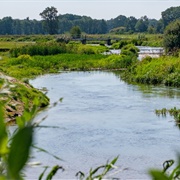 Overijsselse Vecht