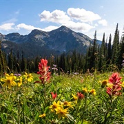 Mount Revelstoke National Park (BC)
