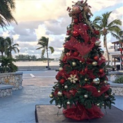 Christmas in the Bahamas
