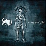 The Way of All Flesh (Gojira, 2008)