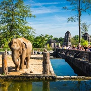 Pairi Daiza, Brugelette, Belgium