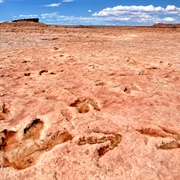 Moenave Dinosaur Tracks, Navajo Nation/Arizona