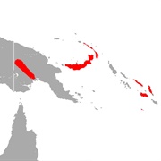 Large-Eared Sheath-Tailed Bat