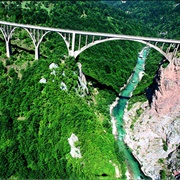 Tara River Gorge, Montenegro