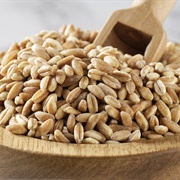 Farro
