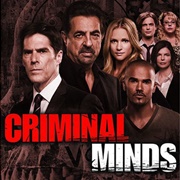 Criminal Minds: Season 8