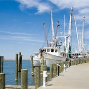 Chincoteague, Virginia
