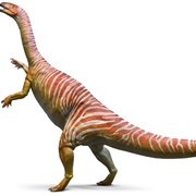 Plateosaurus