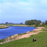 Reitdiep