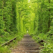 Ukraine - Tunnel of Love