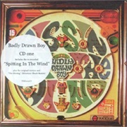 Badly Drawn Boy - Spitting in the Wind