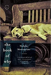 The Book of Why (Nicholas Montemarano)