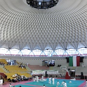 Palazzetto Dello Sport, Rome