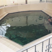 Khatts Springs, Ras Al Khaimah, UAE