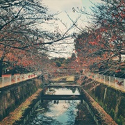 Mitaka, Tokyo Prefecture, Japan