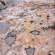 Clayton Lake State Park, New Mexico