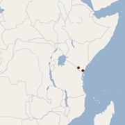 Trujillo's Yellow Bat