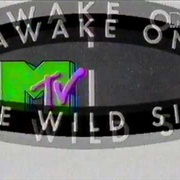 Awake on the Wild Side