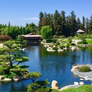 The Japanese Garden, Los Angeles