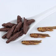 Chocolate-Covered Grasshopper