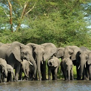 Pendjari National Park, Benin
