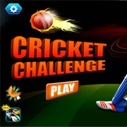 Cricket Challenge