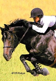 NBC Special Treat (1977)