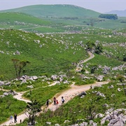 Akiyoshidai Plateau, Yamaguchi