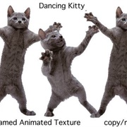 Dancing Cat