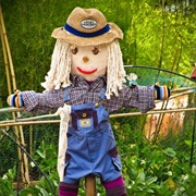 Make a Scarecrow