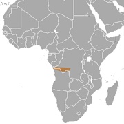 Hayman's Dwarf Epauletted Fruit Bat