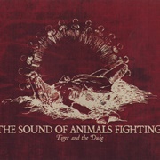 The Sound of Animals Fighting - Tiger and the Duke