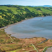 Radke Martinez Regional Shoreline