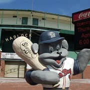 Go to a Portland Sea Dog Game