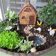 Fairy Garden