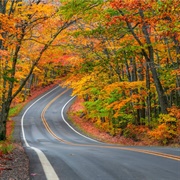 Tunnel of Trees, Keewanaw, Michigan