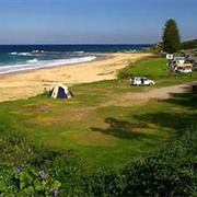 Coledale Dog-Friendly Beach NSW