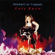 'Moments of Pleasure' by Kate Bush