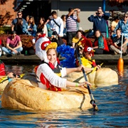Watch a Pumpkin Boat Race