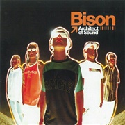 Bison - Architect of Sound