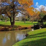 Wynberg Park Cape Town