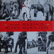 Blind Man&#39;s Zoo - 10,000 Maniacs