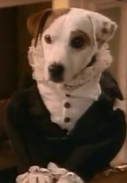 Wishbone: Furst Impressions (1995)
