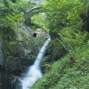 Gowbarrow Park & Aira Force