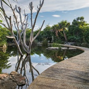 Leon Levy Native Plant Preserve, Eleuthera, Bahamas