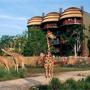 Disney&#39;s Animal Kingdom Lodge