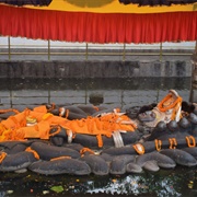 Budhanilkantha Temple, Nepal