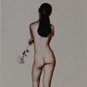 The Chrysanthemum (Claudio Bravo)