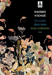 Un Océan, Deux Mers, Trois Continents (Wilfried N'sondé)