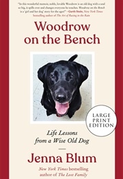 Woodrow on the Bench (Jenna Blum)